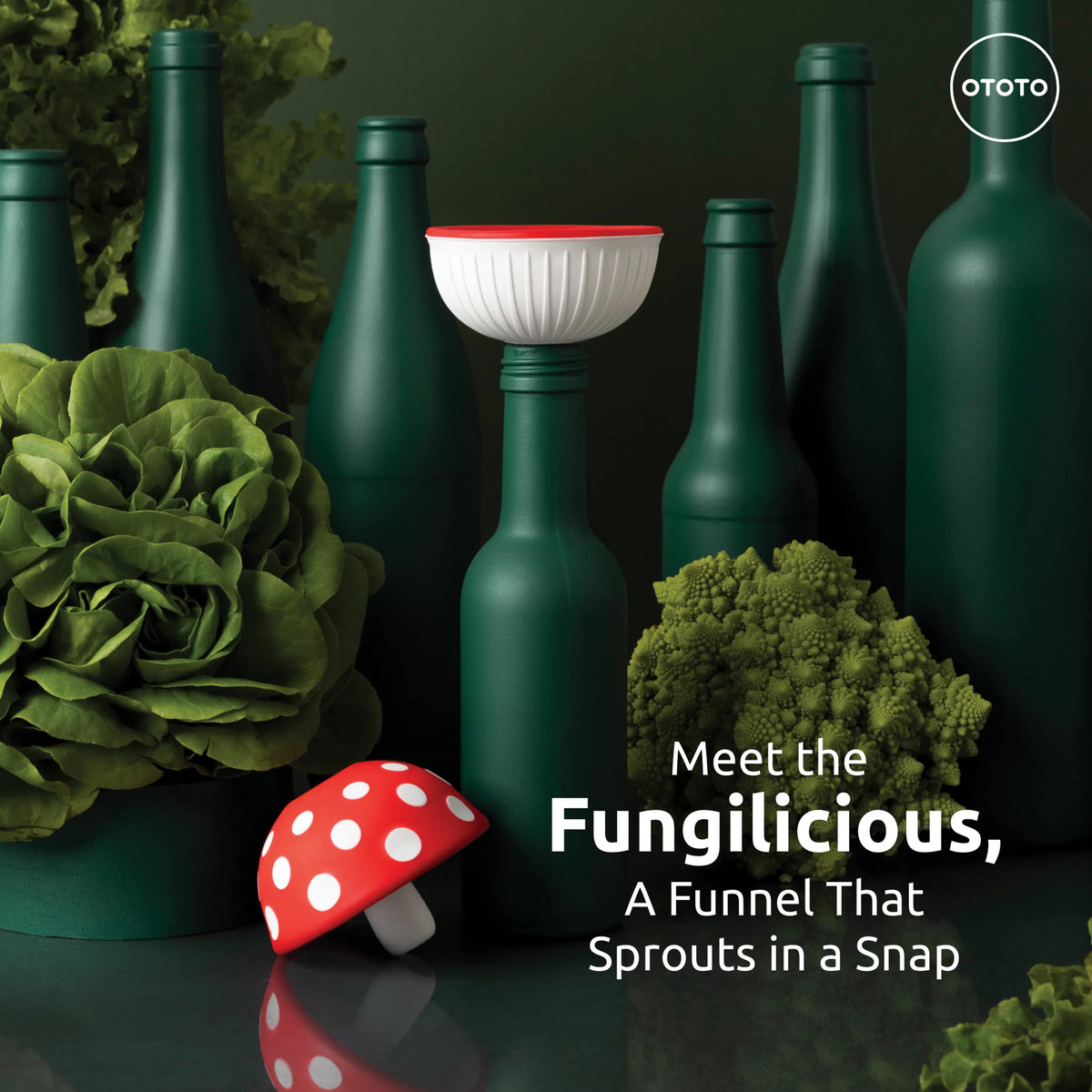 FUNGILICIOUS Entonnoir OTOTO