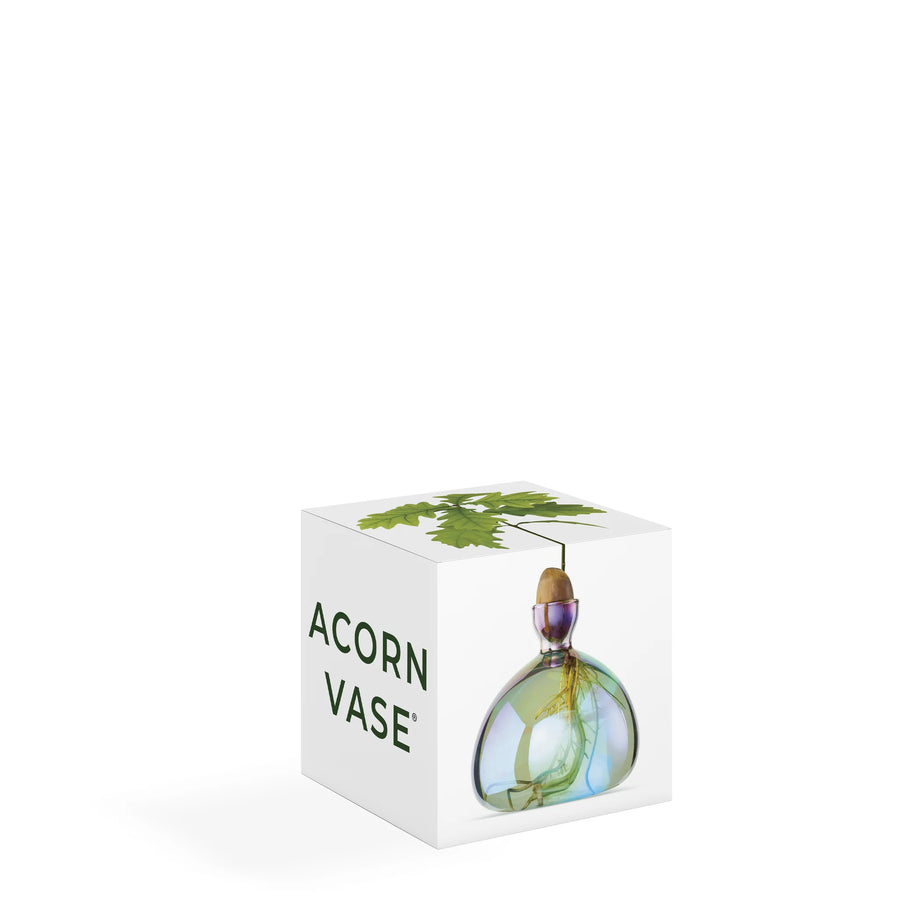 Acorn Vase par Ilex Studio
