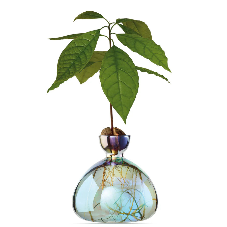 Vase Avocado par Ilex Studio