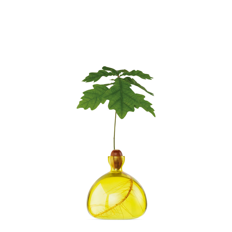 Acorn Vase par Ilex Studio