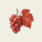 OWAY Color Protection Hair Mask 150ml