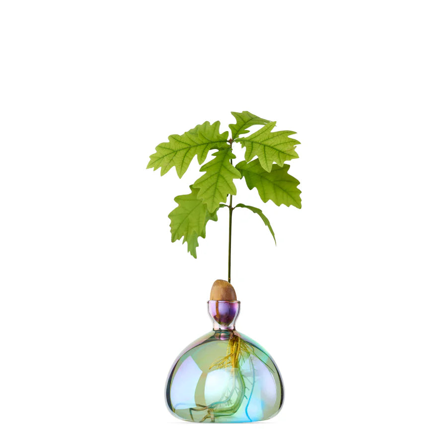 Acorn Vase par Ilex Studio