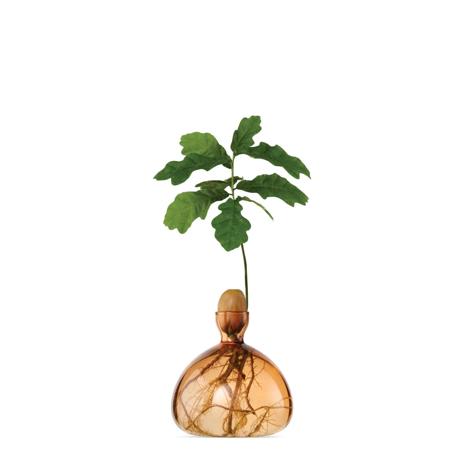 Acorn Vase par Ilex Studio