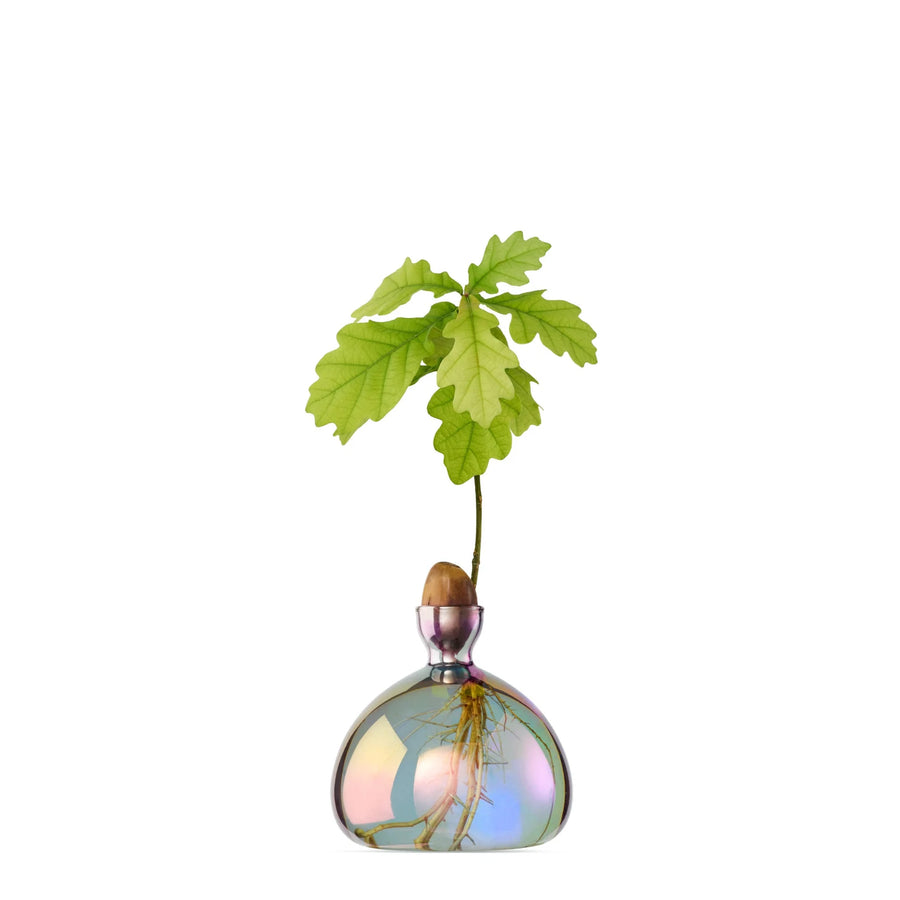 Acorn Vase par Ilex Studio